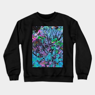 Nature Walk Crewneck Sweatshirt